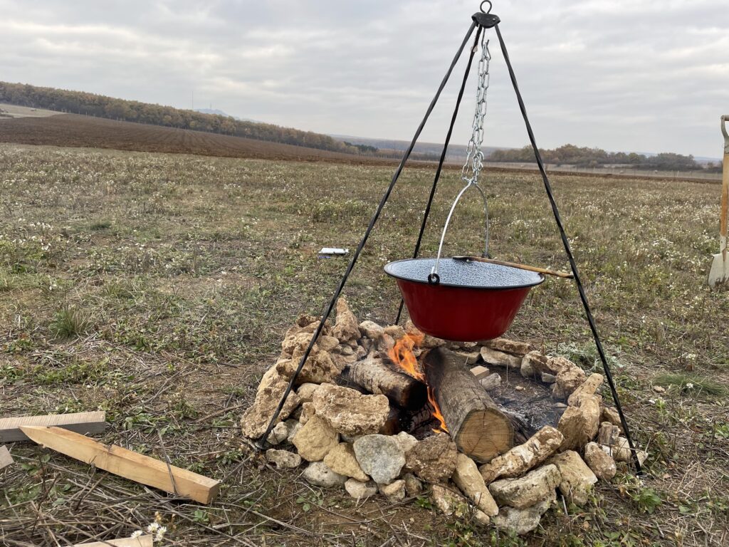 Erdőszéli Birtok Nagyvázsony